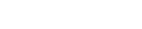 Integrator